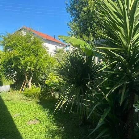 Maison D'architecte 4 Avec Piscine Vila