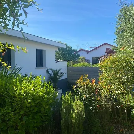 Maison D'architecte 4 Avec Piscine Vila