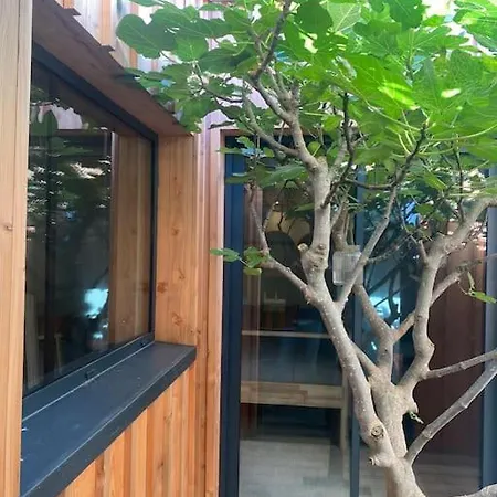 Maison D'architecte 4 Avec Piscine