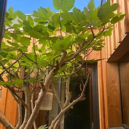 Vila Maison D'architecte 4 Avec Piscine